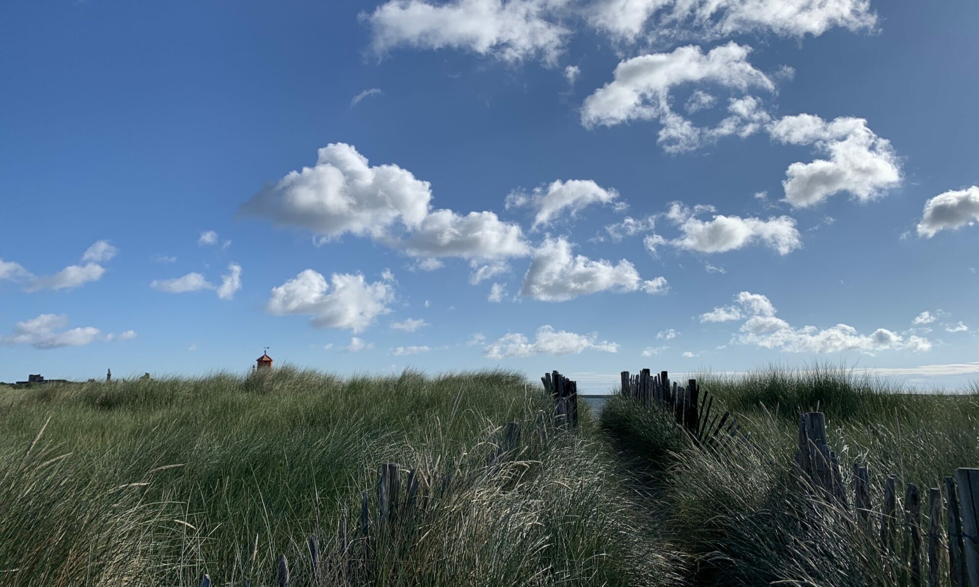 Sand dunes at Littlehaven, South Shields, South Tyneside